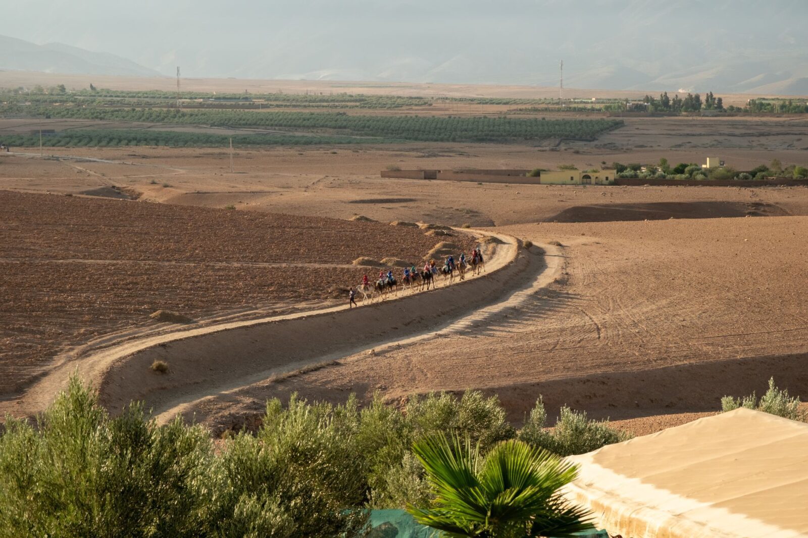 In Morocco's High Atlas Mountains, Joining One of the Oldest Migrations in Africa - Photo by Sem Bogaarts on Pexels