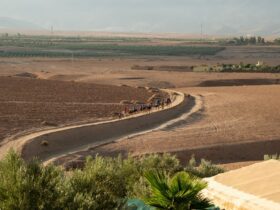 In Morocco's High Atlas Mountains, Joining One of the Oldest Migrations in Africa - Photo by Sem Bogaarts on Pexels