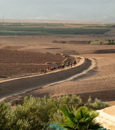 In Morocco's High Atlas Mountains, Joining One of the Oldest Migrations in Africa - Photo by Sem Bogaarts on Pexels